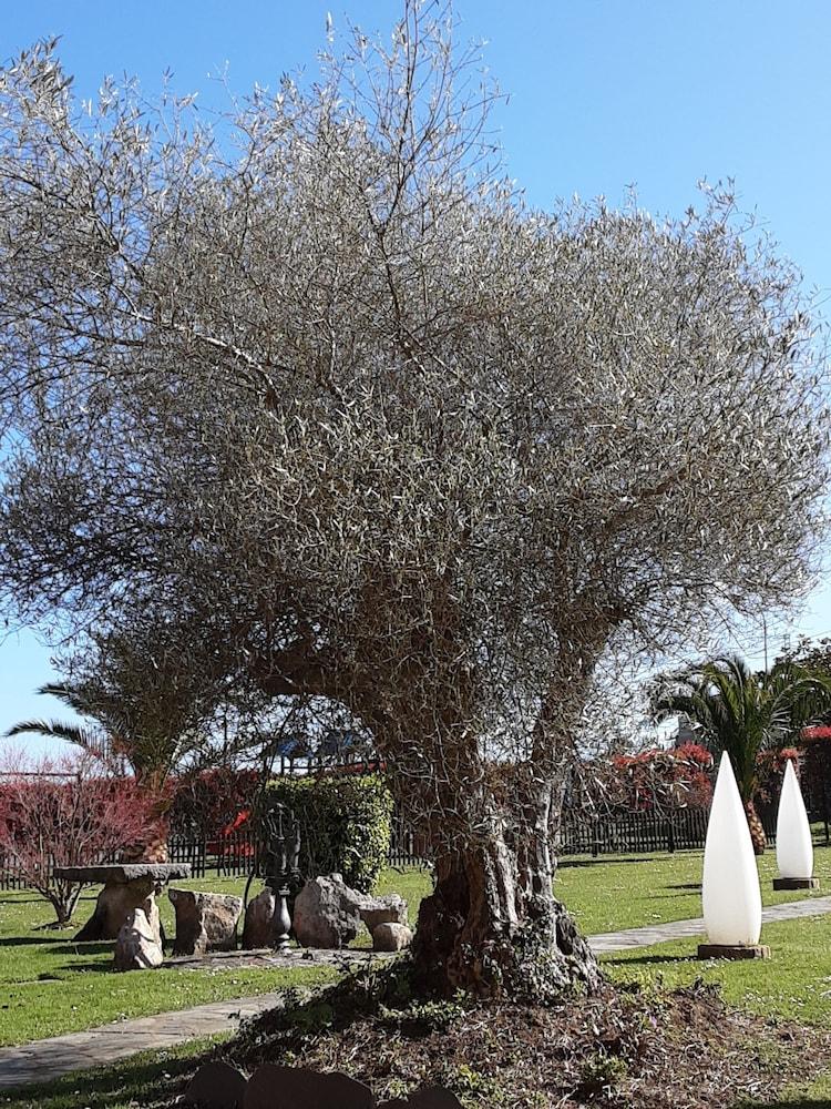 Hotel Marques De La Moral Naveces Eksteriør bilde